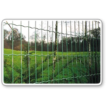 Segurança PVC revestido soldado Wire Mesh Euro Fence (Anjia-065)